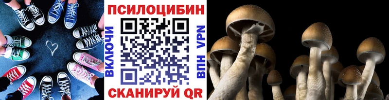 Псилоцибиновые грибы GOLDEN TEACHER  KRAKEN вход  Углегорск  цена наркотик 